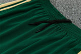 2026/2027 Italy Blue Half Zipper White Green Tracksuit