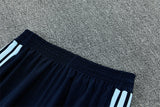 2026/2027 Argentina Half-Pull Blue Tracksuit