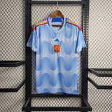 2022 FIFA World Cup Spain Away Soccer Shirt
