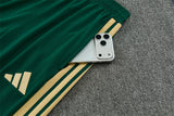 2026/2027 Italy Blue Half Zipper Green Tracksuit