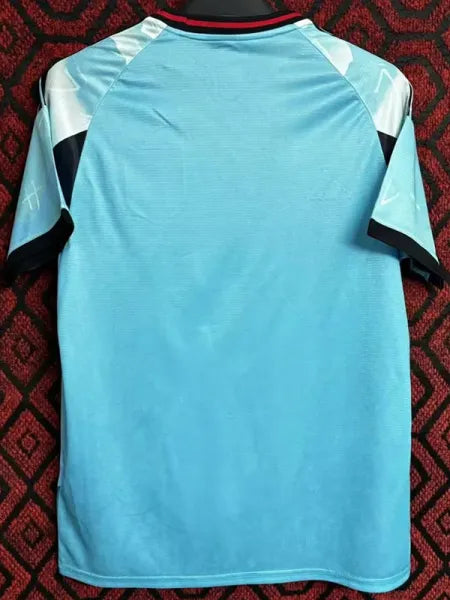 2024 Japan Blue Special Edition Fans Soccer Jersey (山水蓝